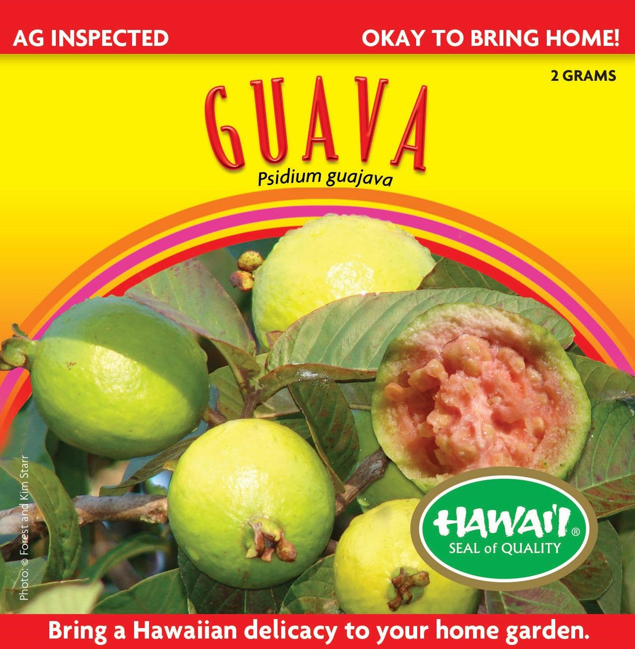 Hawaiian Guava Seeds – GVA-Asst - Tropical Guava Seeds from Maui