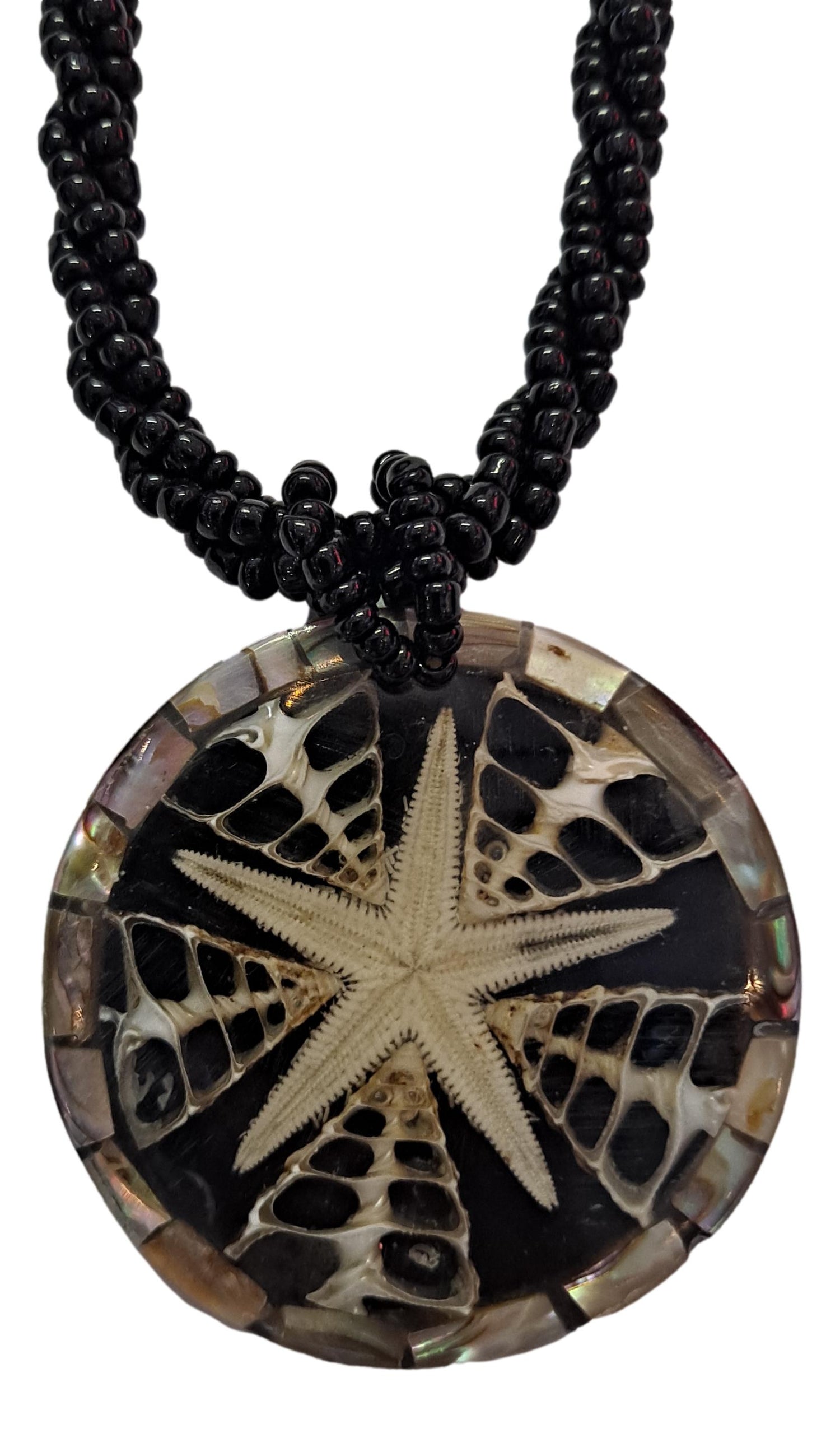 Shell Jewelry collection — natural ocean-inspired necklaces, bracelets, and earrings shipped from the USA