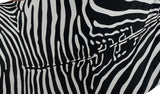 Sarong SAR-3520-F - Animal Print Zebra Black and White