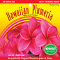 Plumeria Cutting – PC-12 - Dark Pink (Donald Angus), Live Plumeria from Maui