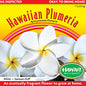 Plumeria Cutting – PC-8 - White (Samoan Fluff), Live Plumeria from Maui