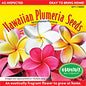 Plant - Seed - Hawaiian Plumeria Seeds (5 Pack) – PS-Asst - Tropical Frangipani Seeds from Maui