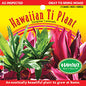 Ti Leaf Seedling in Pot – TI-GRN - Green Hawaiian Ti Plant from Maui